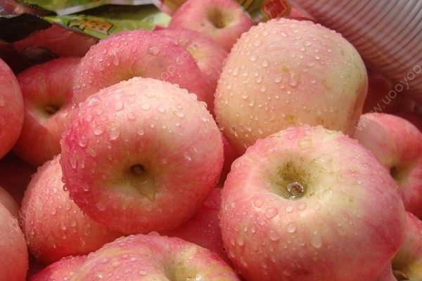 桃子和苹果可以一起吃吗？桃子和苹果哪个减肥好？(1)