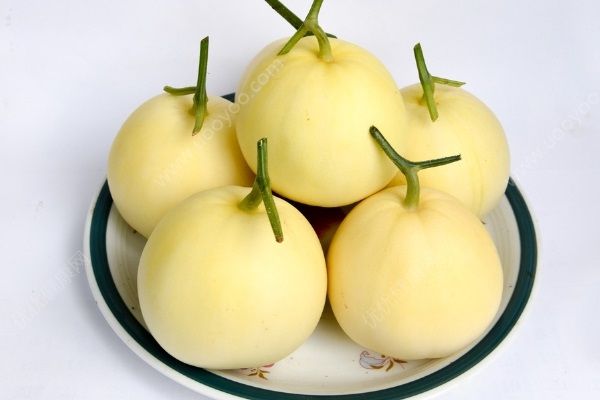 香瓜和哈密瓜有什么区别？香瓜和哈密瓜的营养价值(3)