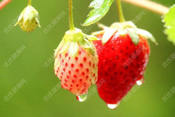 荔枝和草莓能一起吃吗？荔枝和草莓一起吃会怎么样？(2)