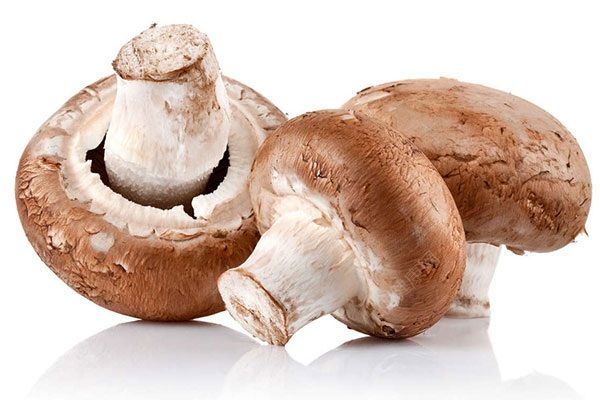 蘑菇什么样是坏了？蘑菇坏了还能吃吗？(1)