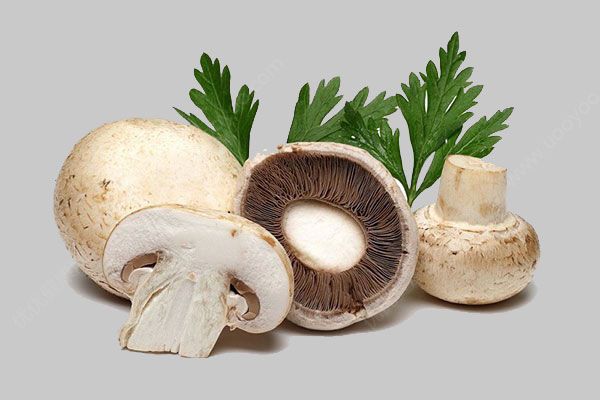 蘑菇有什么营养？吃蘑菇会拉肚子吗？(4)