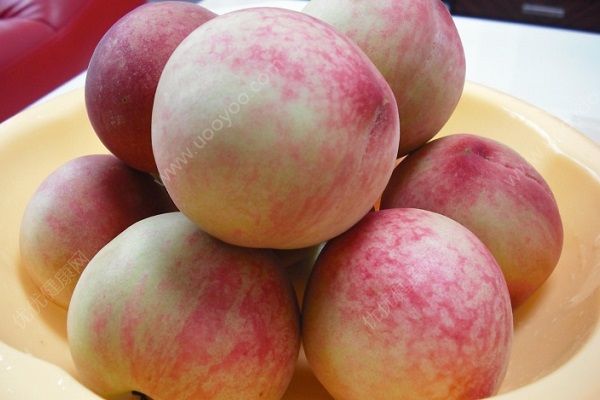 桃子和豆浆可以吃吗？桃子和豆浆一起吃有什么影响？(5)