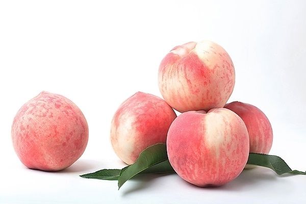 桃子和豆浆可以吃吗？桃子和豆浆一起吃有什么影响？(4)