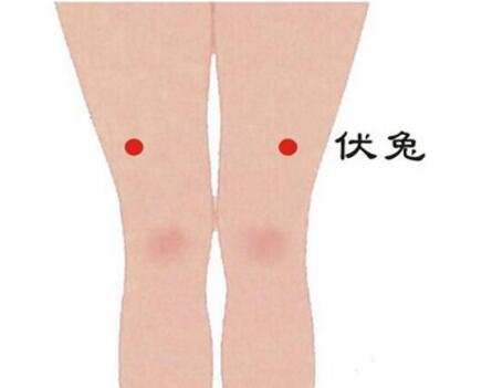 腰腿痛治疗方法 腿部这处常常敲敲治腿病