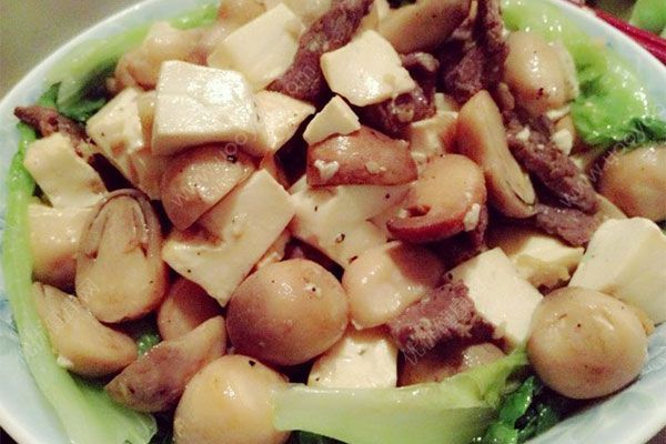 蘑菇和豆腐有毒吗？蘑菇和豆腐能一起吃吗？(4)