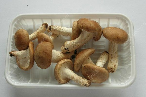 新鲜蘑菇怎么保存？新鲜蘑菇可以放冰箱吗？(4)