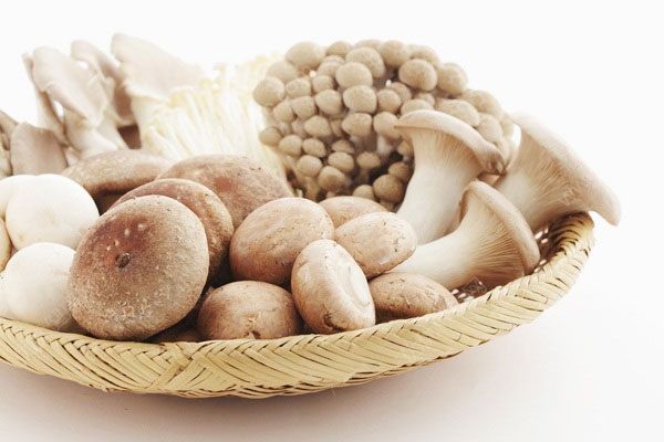蘑菇有白毛能吃吗？蘑菇长了白毛还能吃吗？(3)