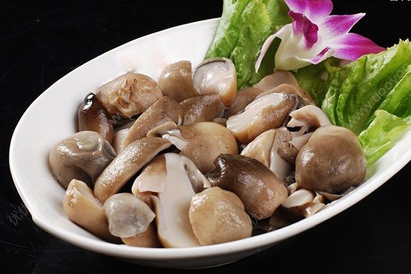 草菇怎么做好吃？草菇的营养价值(1)