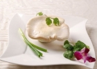 白灵菇的营养价值，白灵菇和杏鲍菇的区别[多图]