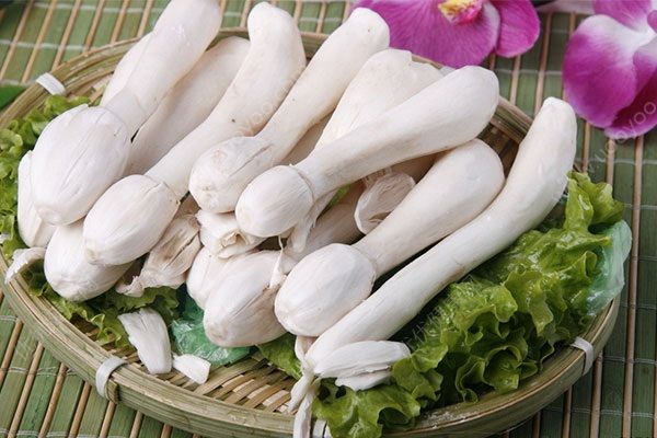 鸡腿菇有什么营养？鸡腿菇和杏鲍菇的区别(4)