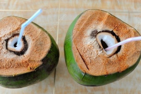 椰子是什么季节的水果？椰子几月份成熟？(2)