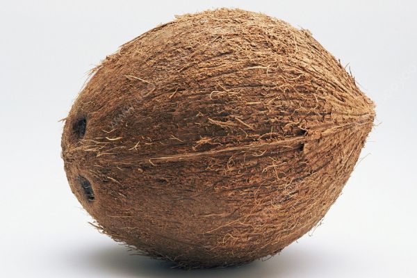 椰子是什么季节的水果？椰子几月份成熟？(1)