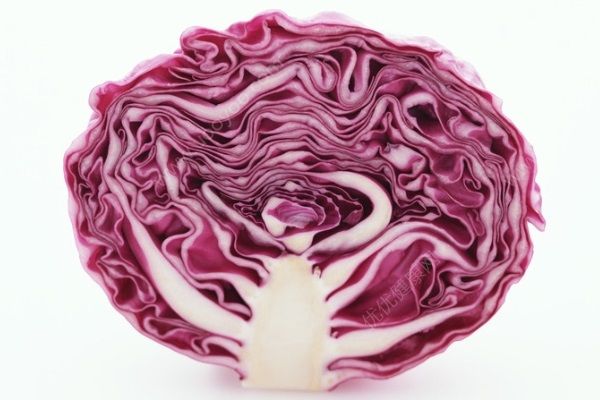 吃紫包菜有什么好处？紫包菜的功效与作用(4)