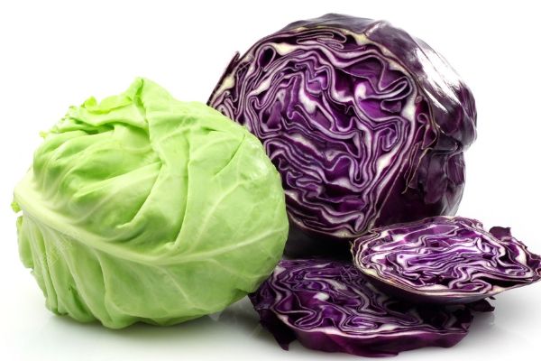 吃紫包菜有什么好处？紫包菜的功效与作用(1)