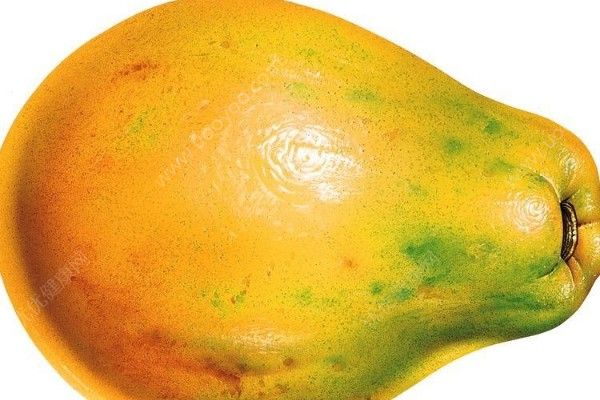 吃木瓜的好处和坏处分别是什么？木瓜的功效和危害(2)