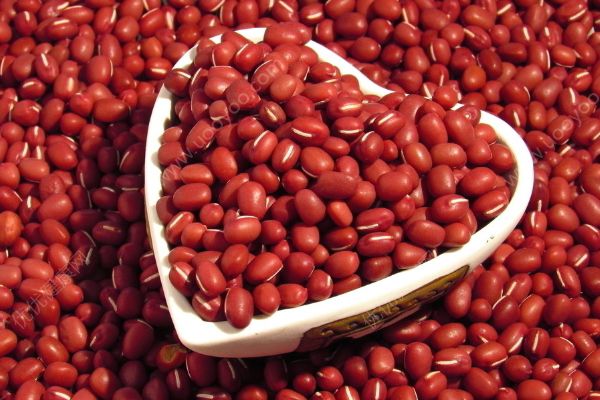 红豆是热性还是凉性？红豆是凉性食物吗？(2)