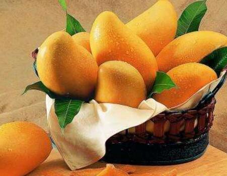 芒果是水果界中防癌高手