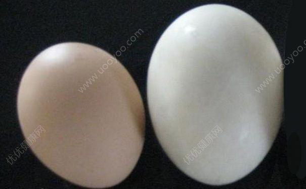 鸭蛋和鸡蛋的区别有哪些？鸭蛋和鸡蛋有什么区别？(1)