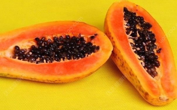 红肉木瓜是转基因的吗？红心木瓜的功效与作用(2)