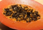 红肉木瓜是转基因的吗？红心木瓜的功效与作用[多图]