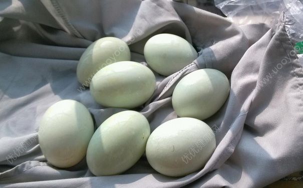 鲜鸭蛋怎么保存？鲜鸭蛋能放多久？(2)
