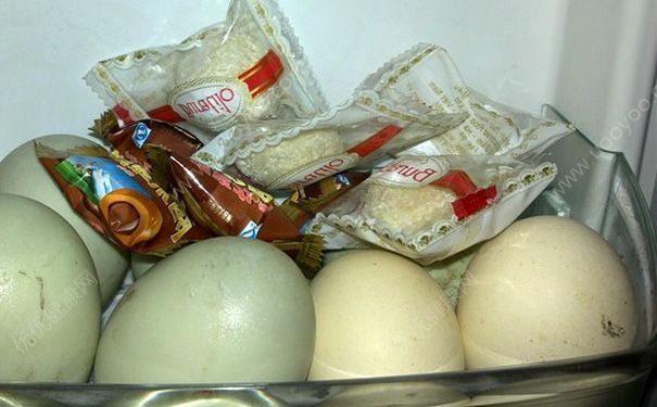 鲜鸭蛋怎么保存？鲜鸭蛋能放多久？(4)