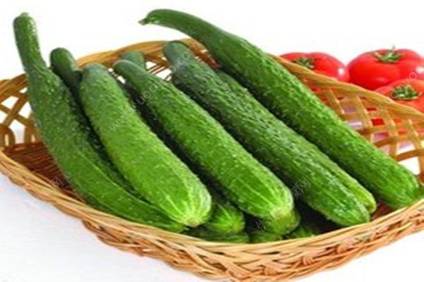 吃黄瓜对身体有什么好处？每天吃黄瓜的好处(3)