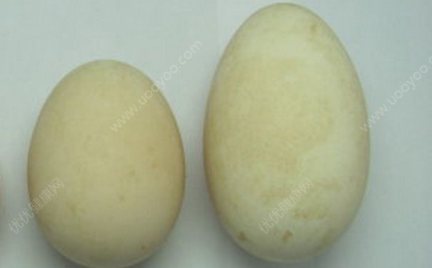鸭蛋和鹅蛋的区别有哪些？鸭蛋和鹅蛋有什么区别？(2)