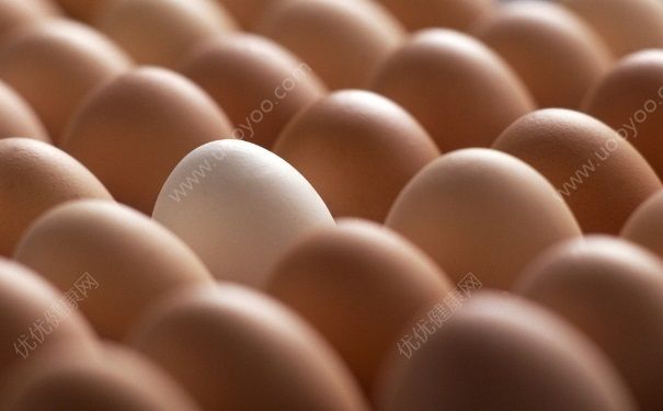 藕和鸡蛋可以同时吃吗？莲藕和鸡蛋能同吃吗？(4)