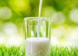 青少年喝什么牛奶最好？喝牛奶的好处[多图]