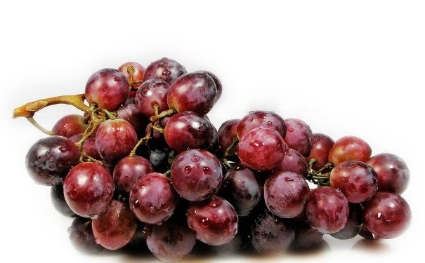 蓝莓和葡萄有什么区别？蓝莓和葡萄的区别介绍(4)