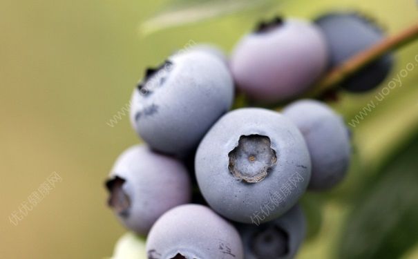 蓝莓能放冰箱吗？蓝莓的保存方法(3)
