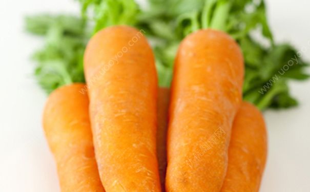 吃胡萝卜能减肥吗？减肥能不能吃胡萝卜？(1)