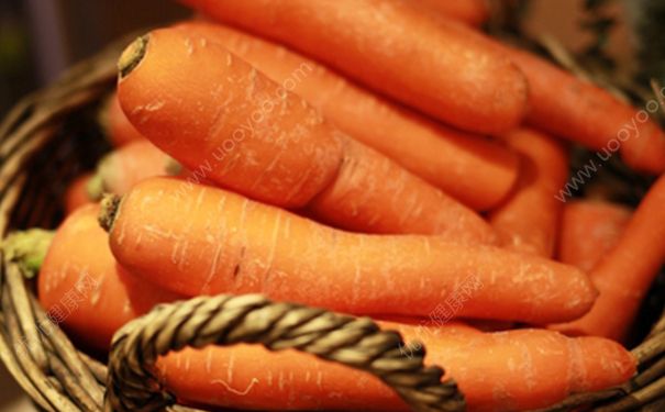 胡萝卜有哪些功效和作用？胡萝卜的营养价值(2)