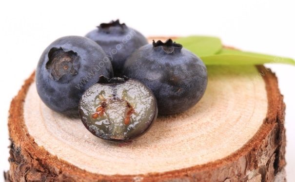 吃蓝莓能治近视吗？吃蓝莓有什么好处？(2)