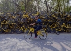 北京共享单车堆成山照片曝光 共享单车损坏多的原因是什么