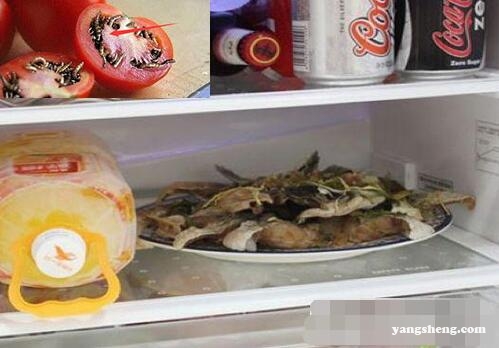 别再把这食物放冰箱了，太恶心