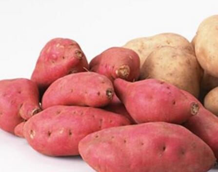 红薯功效 吃红薯会发胖？