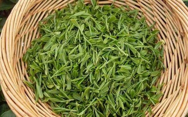 茶叶应该怎么保存好？茶叶有什么好处？(4)