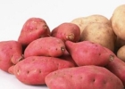 红薯功效 吃红薯会发胖？