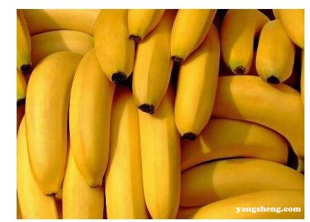 有这几个特征的香蕉竟是被催熟的