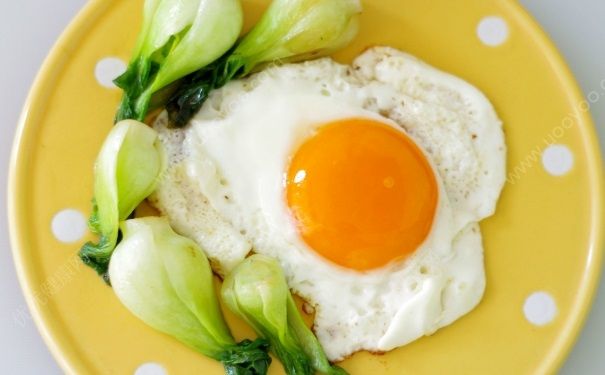 豆腐能和鸡蛋一起吃吗？豆腐和鸡蛋一起吃好吗？(3)