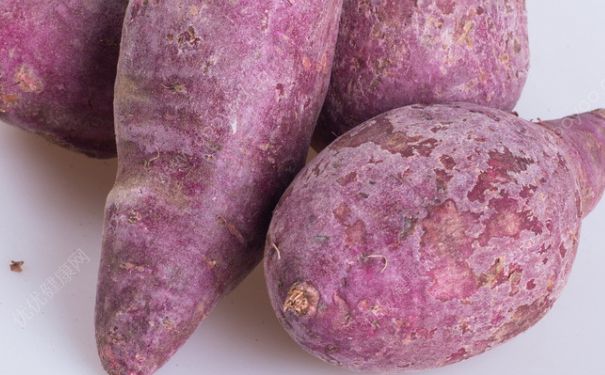 紫薯和红薯哪个更有营养？紫薯和红薯哪个更好？(4)