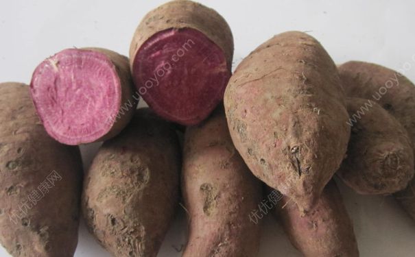 紫薯和红薯哪个更有营养？紫薯和红薯哪个更好？(3)