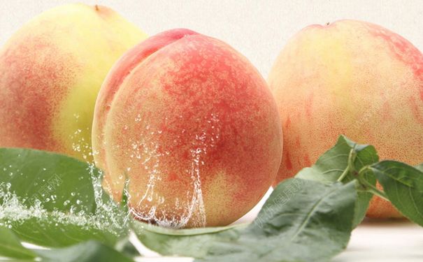 水蜜桃的营养价值有哪些？水蜜桃的功效与作用(1)