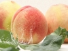 水蜜桃的营养价值有哪些？水蜜桃的功效与作用[多图]