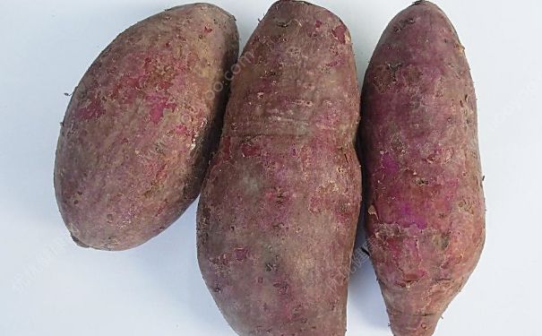 紫薯能生吃吗？紫薯生吃可以吗？(1)