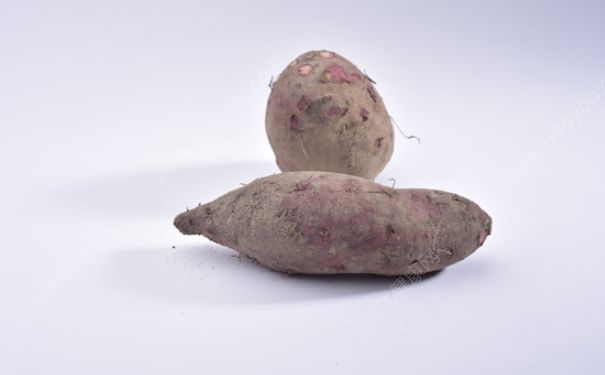 坐月子能吃紫薯吗？产妇吃紫薯好吗？(3)