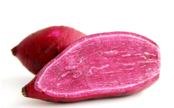 紫薯是转基因食品吗？紫薯是不是转基因的？(3)