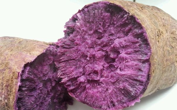 紫薯会发胖吗？吃紫薯会长胖吗？(2)
